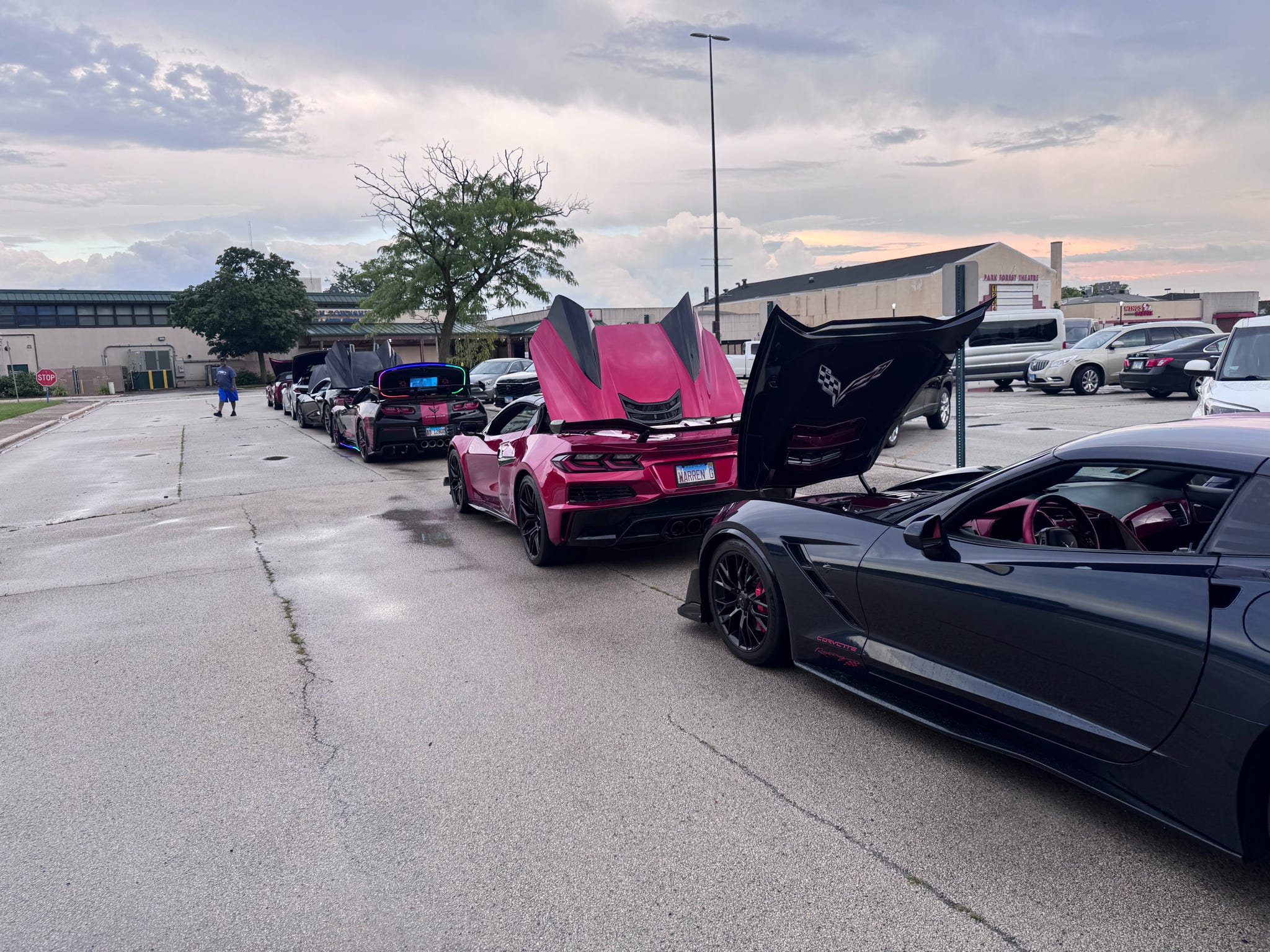 Corvette Lineup 8